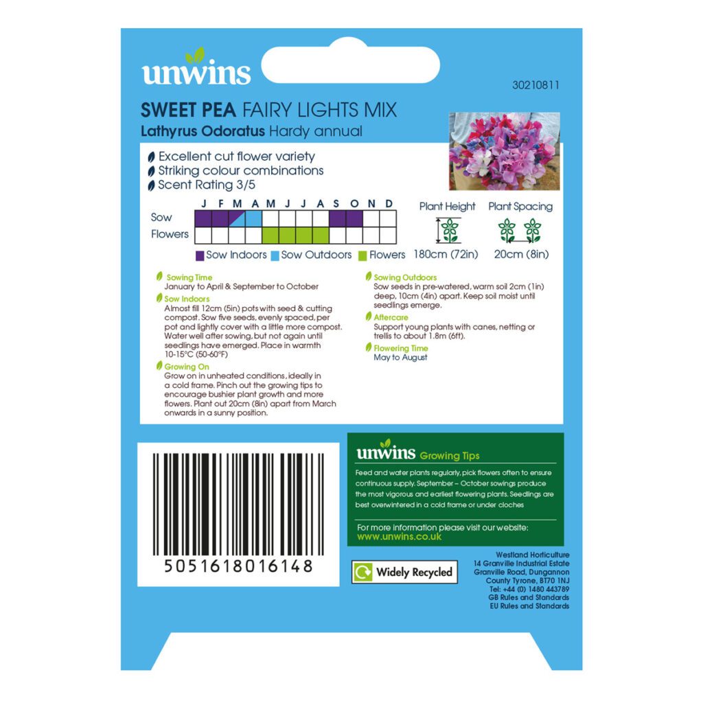 Unwins Sweet Pea Fairy Lights Seeds 5051618016148 2